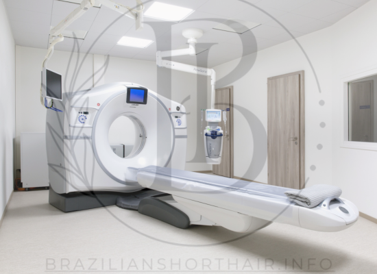 Read more about the article GE Revolution CT Scanner Cost Evaluating the Investment in High-Performance Imaging Solutions