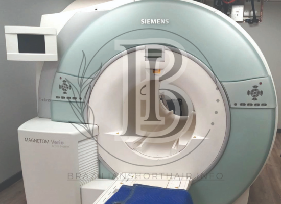 Read more about the article Siemens MAGNETOM MRI System Providing Advanced Diagnostic Solutions for Healthcare Professionals